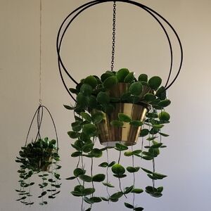 Elegant Gold Hanging Planter with Lush Greenery (Set Of 2)